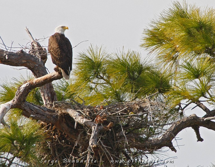 2009-01-04 14-09-59__MG_9785.JPG